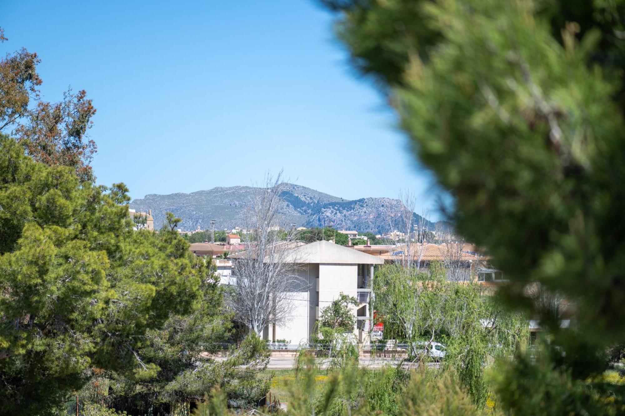 Apartamento Minerva Alcudia  Bagian luar foto